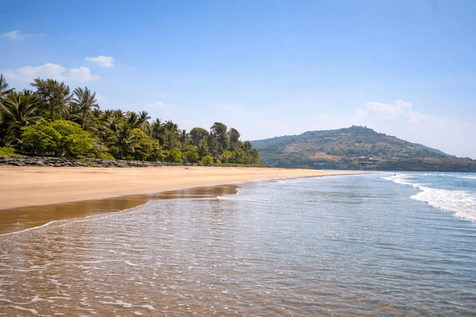 Coconut palms lining the untouched golden sand of Anjarle Beach